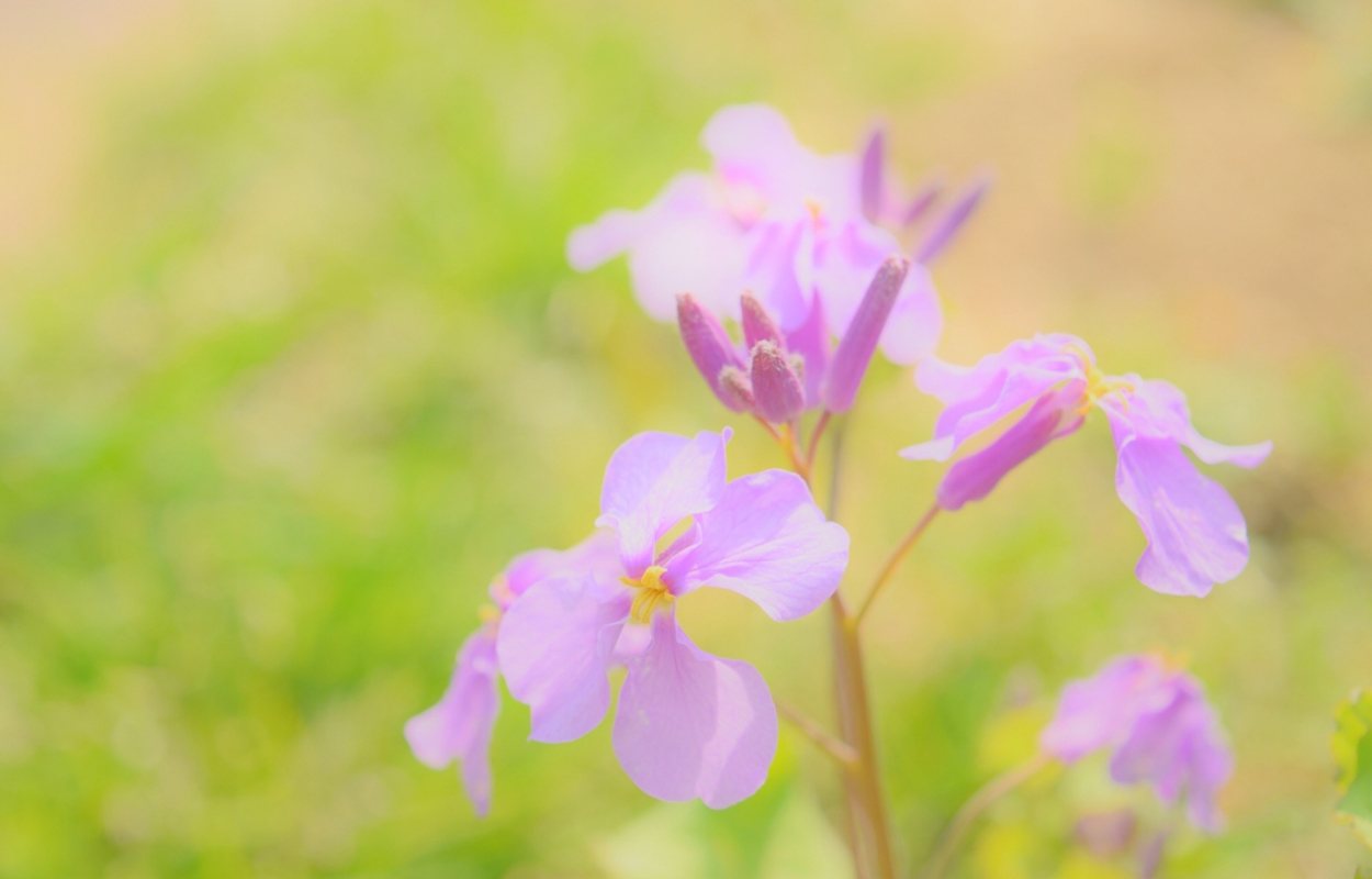 初診の方へ|こう心療クリニック