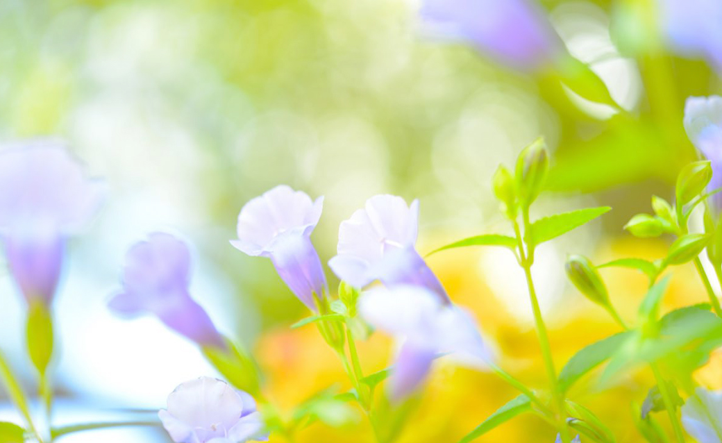 診療案内|こう心療クリニック